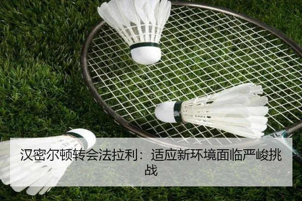 img_1782862400331_969_1_876.jpg